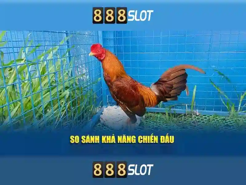 888slot - Trải nghiệm casino slots trực tuyến hàng đầu