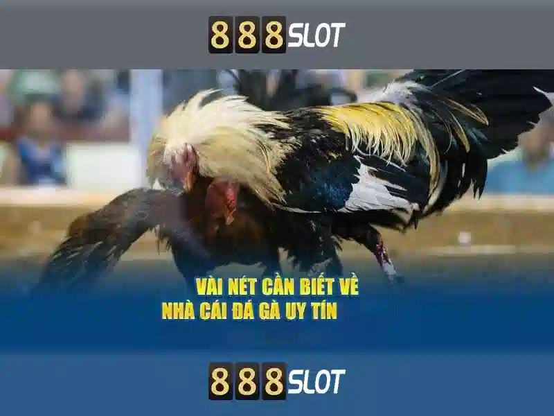 Bảo mật và thanh toán