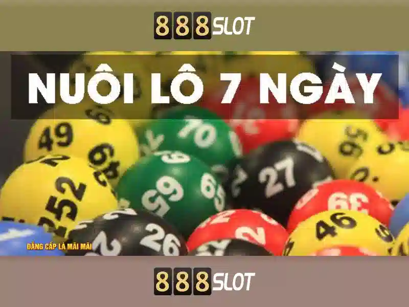 Giao-dien-888slot-gan-voi-dau-nguoi-dung