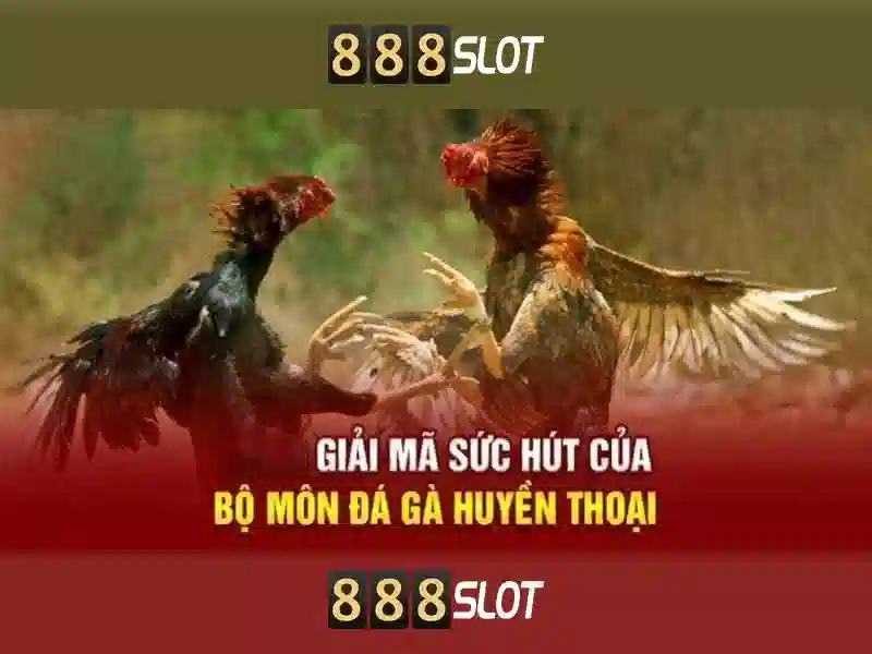 Trò chơi và trải nghiệm người dùng