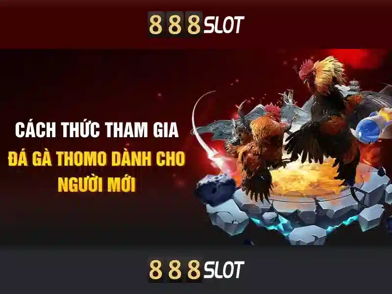Giới thiệu về 888slot