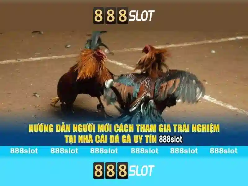 888Slot - Nền tảng slot trực tuyến nổi bật