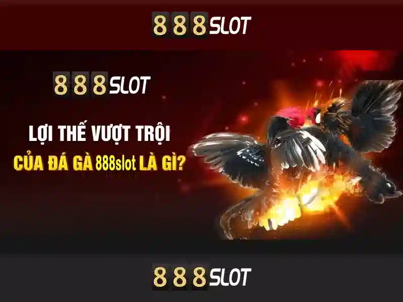 Kết luận