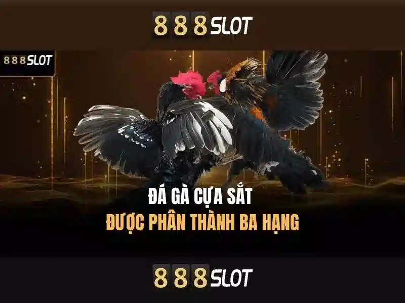 888slot - Trải nghiệm sòng bài trực tuyến hàng đầu