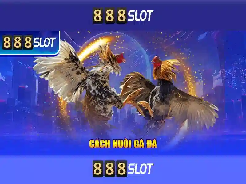 Giới thiệu về 888slot