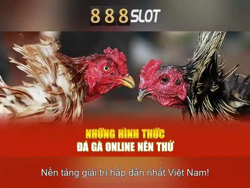 Giao diện và trải nghiệm trên di động