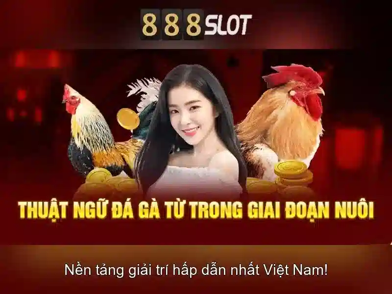 888slots betrug: nhận diện, đánh giá và trải nghiệm an toàn