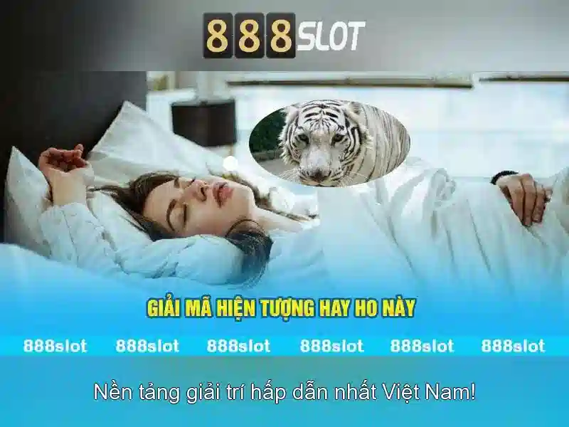 Hỗ trợ khách hàng và khuyến mãi