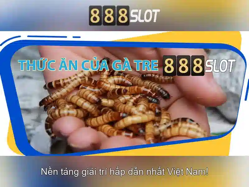 Danh mục trò chơi slot đa dạng