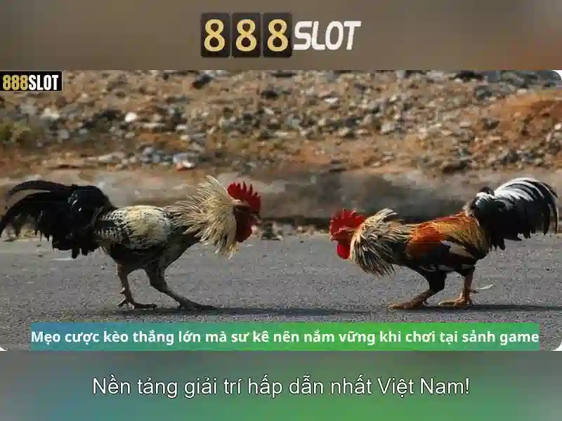 Tóm tắt và lời mời trải nghiệm